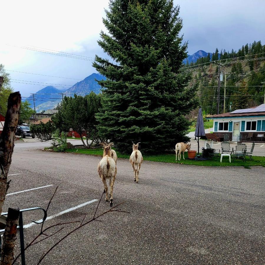 Lido Motel Radium Hot Springs Exteriér fotografie