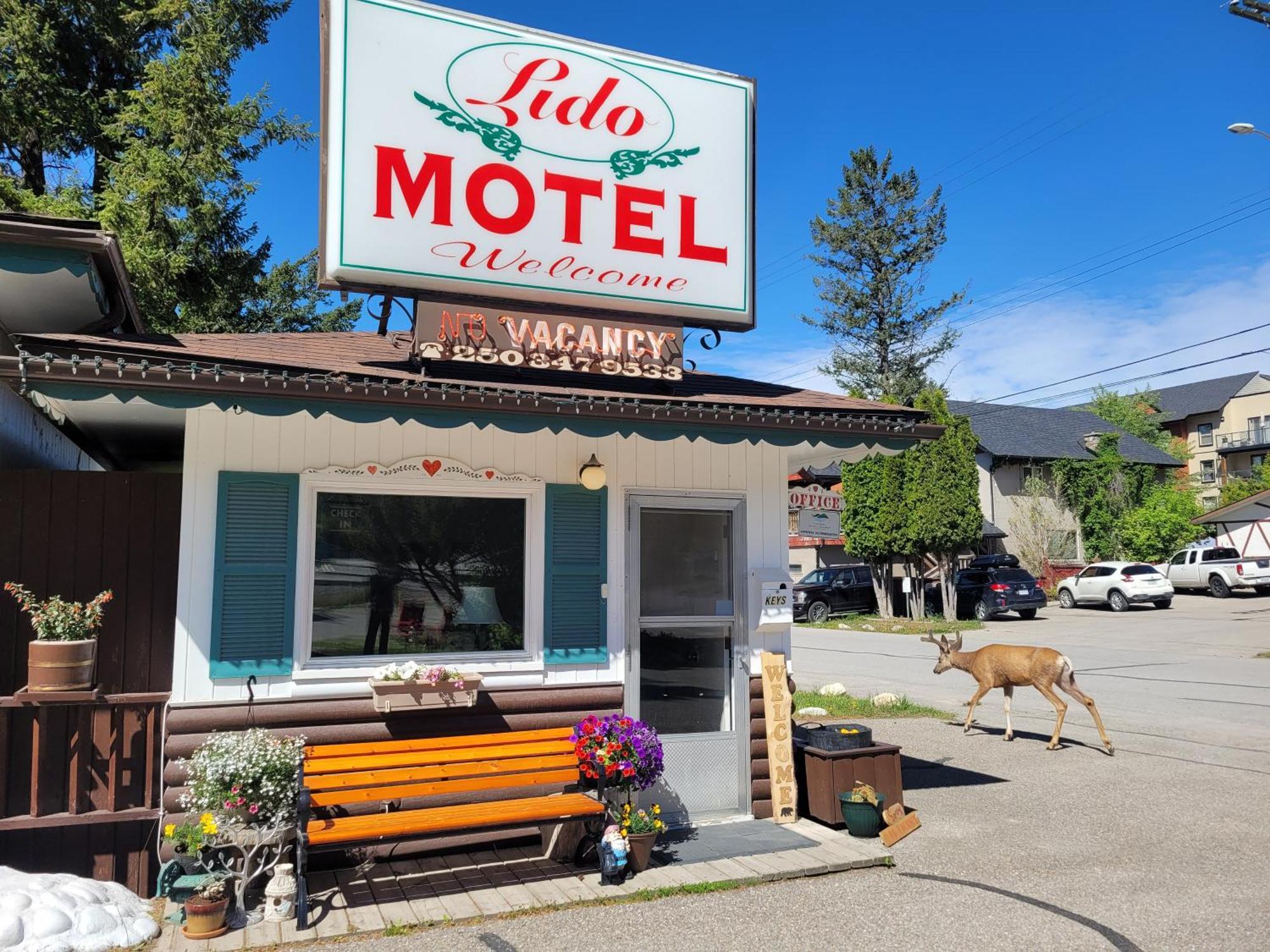 Lido Motel Radium Hot Springs Exteriér fotografie