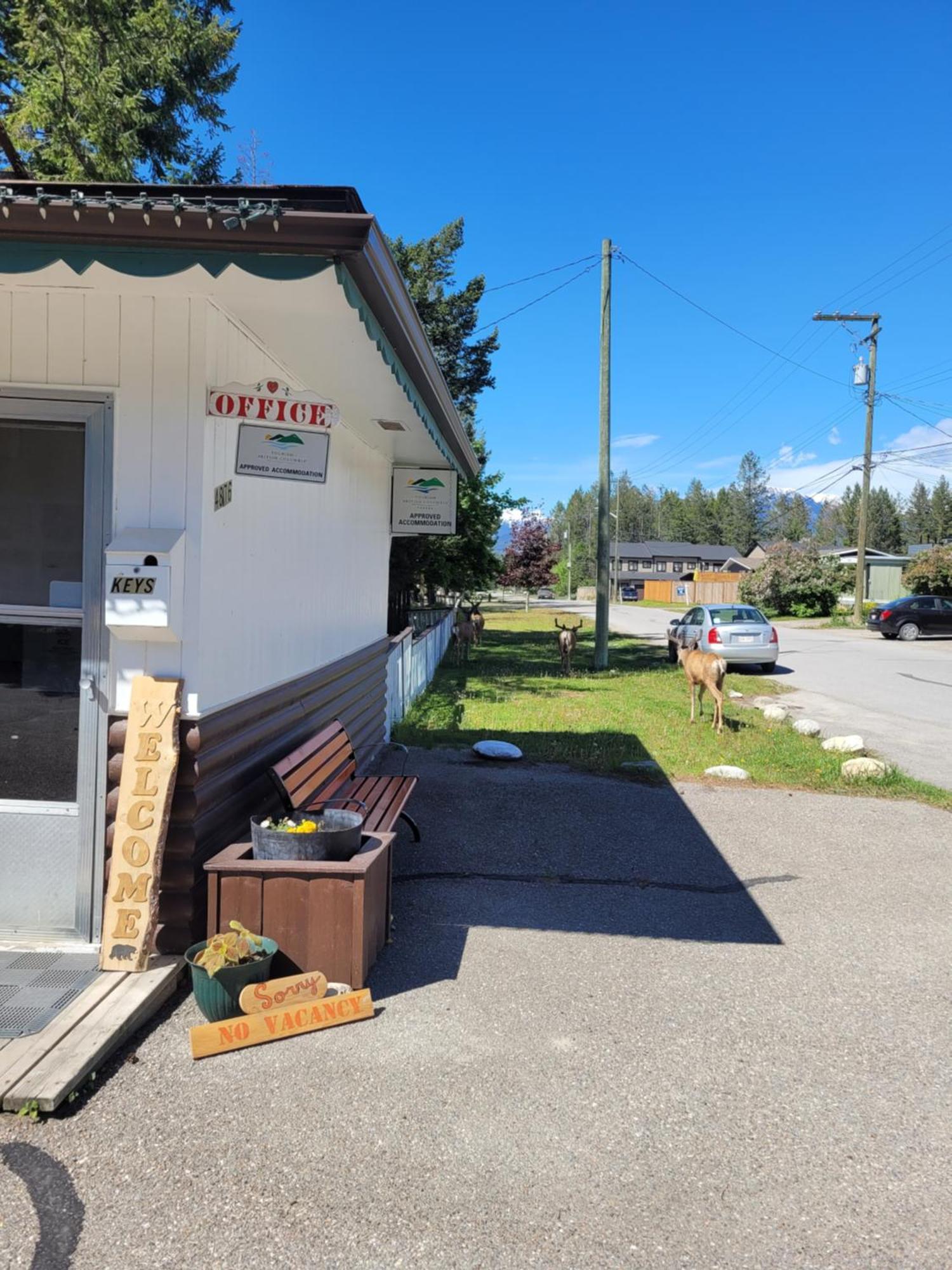 Lido Motel Radium Hot Springs Exteriér fotografie